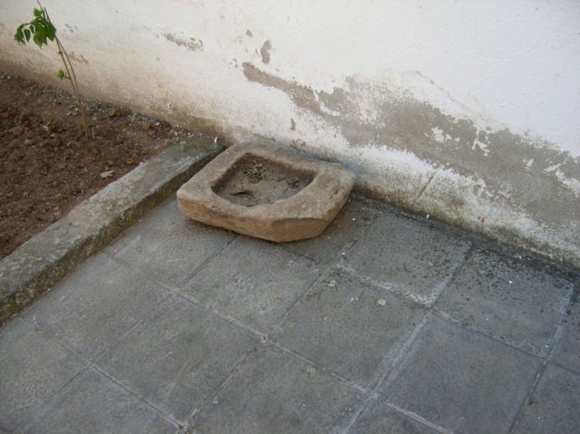 patiotraserofucares16